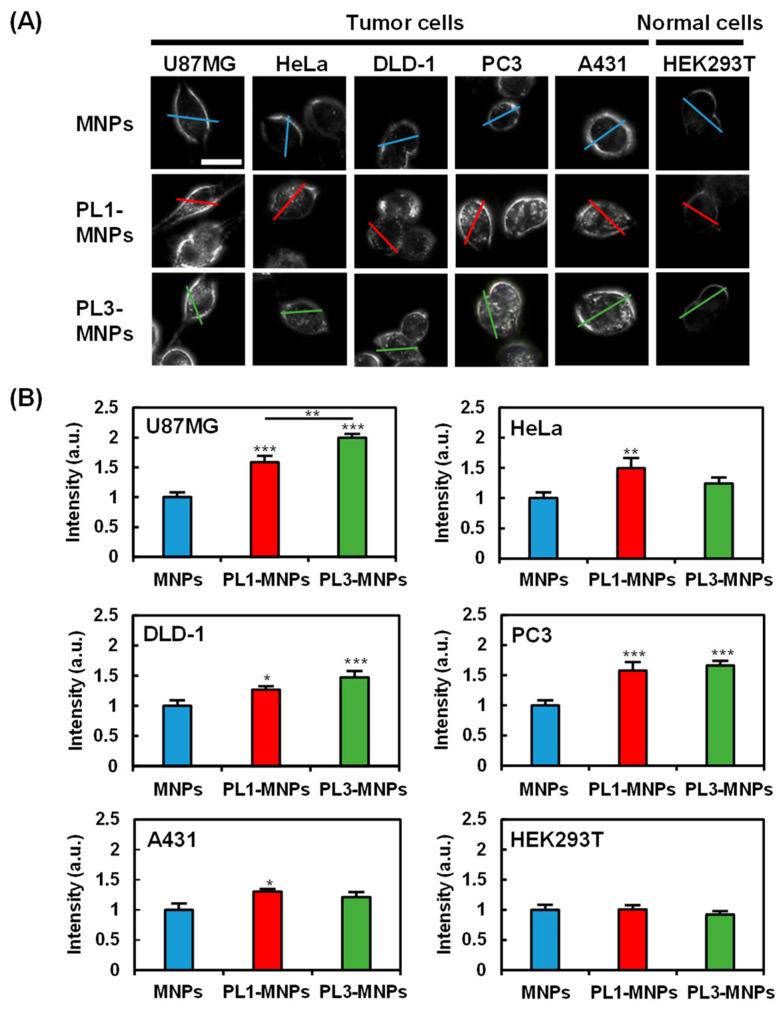 https://cdn.ncbi.nlm.nih.gov/pmc/blobs/382d/11174109/d3bfdc9fe7e9/molecules-29-02632-g003.jpg