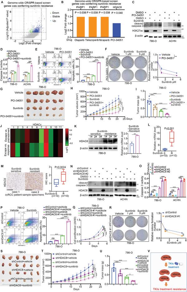 https://cdn.ncbi.nlm.nih.gov/pmc/blobs/3830/11423204/5d538164ac5c/ADVS-11-2401142-g003.jpg