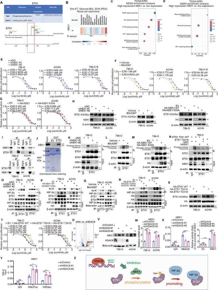 https://cdn.ncbi.nlm.nih.gov/pmc/blobs/3830/11423204/bf56e1f68cf6/ADVS-11-2401142-g009.jpg