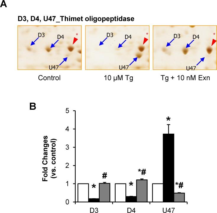 https://cdn.ncbi.nlm.nih.gov/pmc/blobs/3830/4368701/7b37015bbb54/pone.0120536.g007.jpg