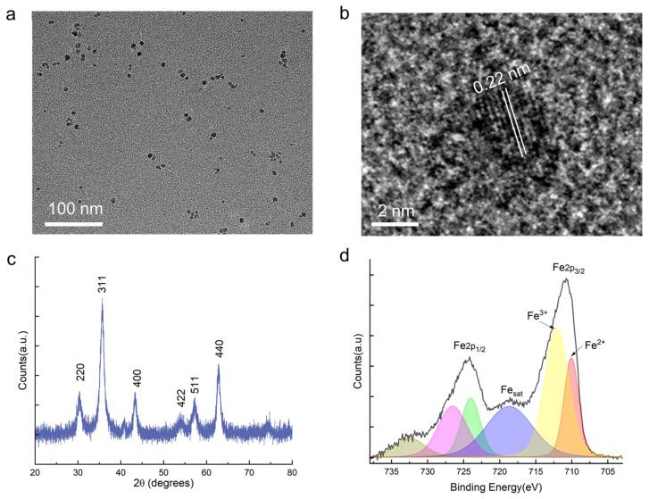 https://cdn.ncbi.nlm.nih.gov/pmc/blobs/3832/12298407/5fcd24e6400e/sensors-25-04353-g002.jpg