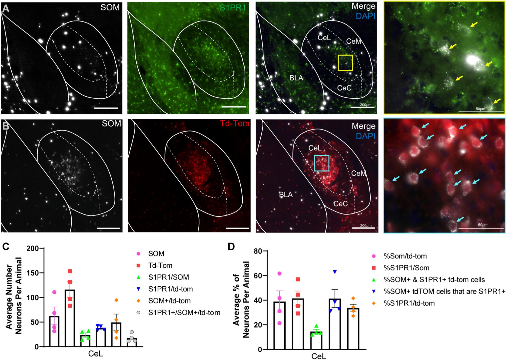 https://cdn.ncbi.nlm.nih.gov/pmc/blobs/3835/8672675/e864c0543c54/nihms-1759004-f0008.jpg
