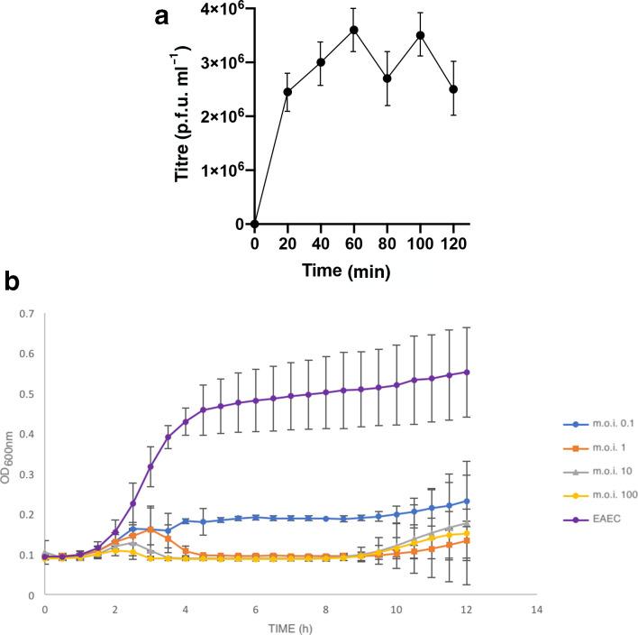 https://cdn.ncbi.nlm.nih.gov/pmc/blobs/3837/7431101/821ebf19cd4b/jmm-69-309-g003.jpg