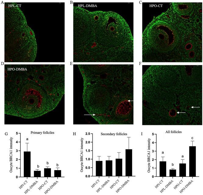 https://cdn.ncbi.nlm.nih.gov/pmc/blobs/3838/10106840/b9802ee987ed/ioac218f7.jpg