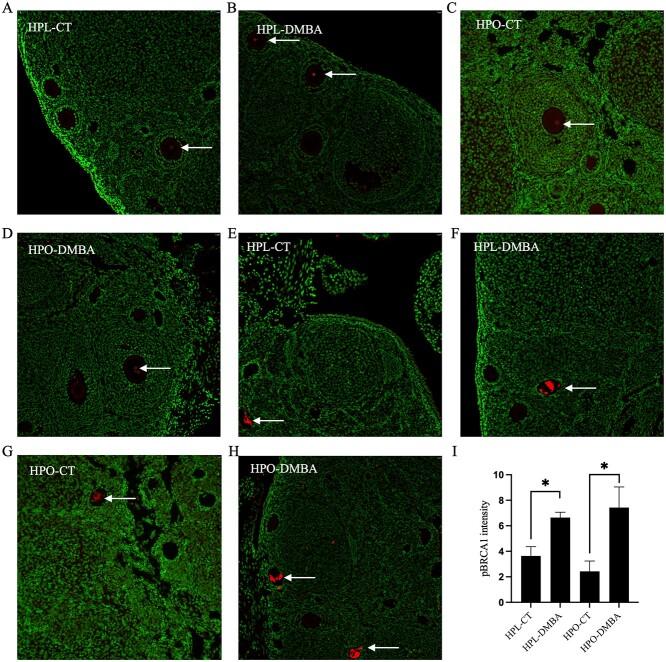 https://cdn.ncbi.nlm.nih.gov/pmc/blobs/3838/10106840/fb3143260a0f/ioac218f8.jpg