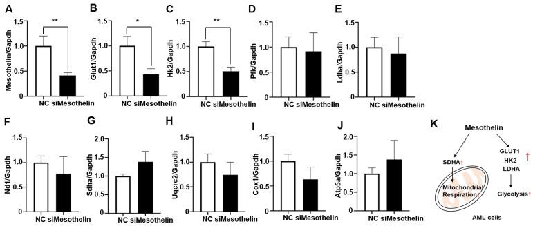 https://cdn.ncbi.nlm.nih.gov/pmc/blobs/3839/10888725/0533b3fddd42/ijms-25-02140-g005.jpg