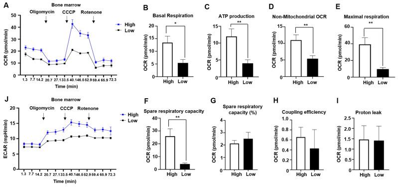 https://cdn.ncbi.nlm.nih.gov/pmc/blobs/3839/10888725/06d5b9c82a78/ijms-25-02140-g002.jpg