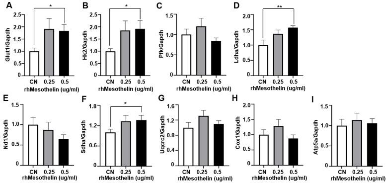https://cdn.ncbi.nlm.nih.gov/pmc/blobs/3839/10888725/2d4a5d25a440/ijms-25-02140-g004.jpg