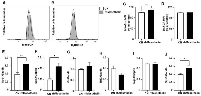 https://cdn.ncbi.nlm.nih.gov/pmc/blobs/3839/10888725/cbc05cea8ef0/ijms-25-02140-g006.jpg