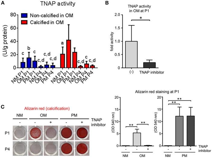 https://cdn.ncbi.nlm.nih.gov/pmc/blobs/383b/6476921/698ebd26bc8e/fcvm-06-00049-g0008.jpg