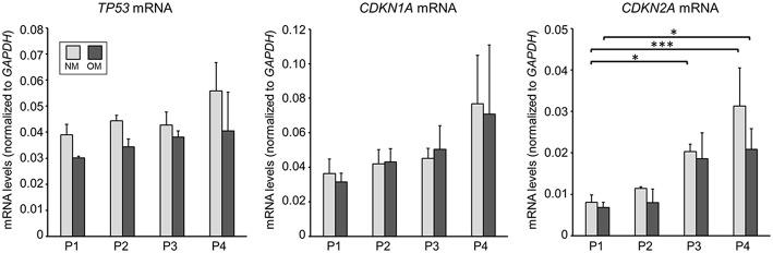 https://cdn.ncbi.nlm.nih.gov/pmc/blobs/383b/6476921/cba19dae3a03/fcvm-06-00049-g0003.jpg