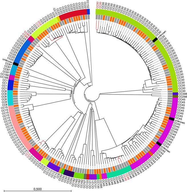 https://cdn.ncbi.nlm.nih.gov/pmc/blobs/383b/7125104/eb9f0e996d60/41598_2020_62751_Fig1_HTML.jpg