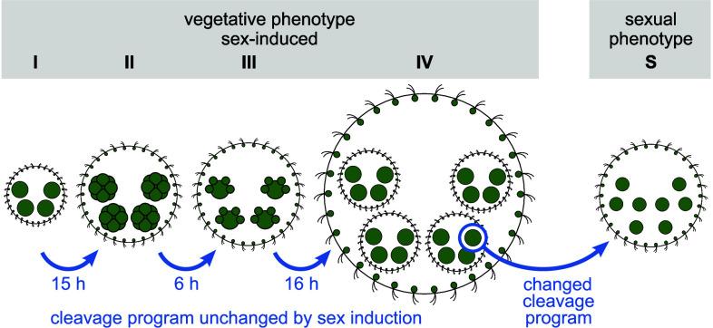 https://cdn.ncbi.nlm.nih.gov/pmc/blobs/383d/12377771/0f9dcd6800be/pnas.2425759122fig03.jpg