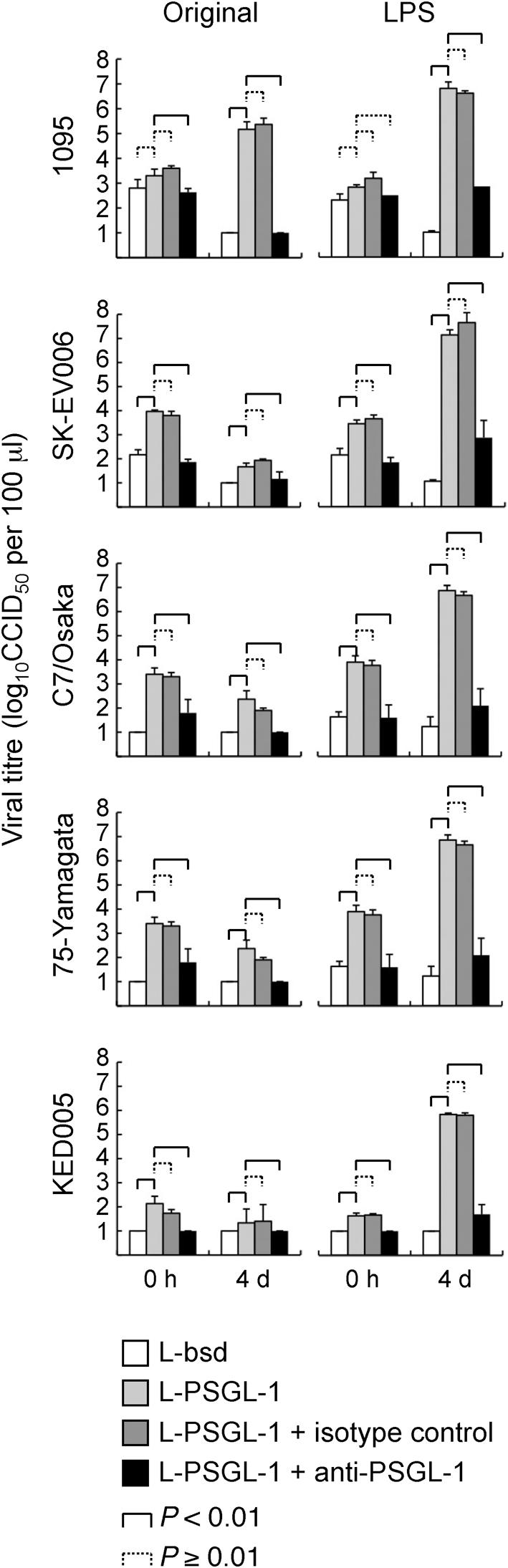 https://cdn.ncbi.nlm.nih.gov/pmc/blobs/383e/3081077/113d4e61f7f2/287fig1.jpg
