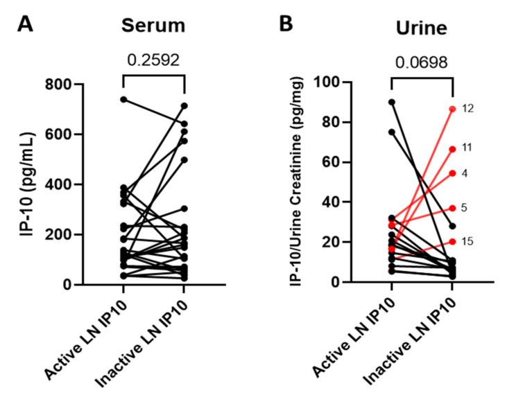 https://cdn.ncbi.nlm.nih.gov/pmc/blobs/383e/9181282/b648b17fc059/jcm-11-03199-g002.jpg