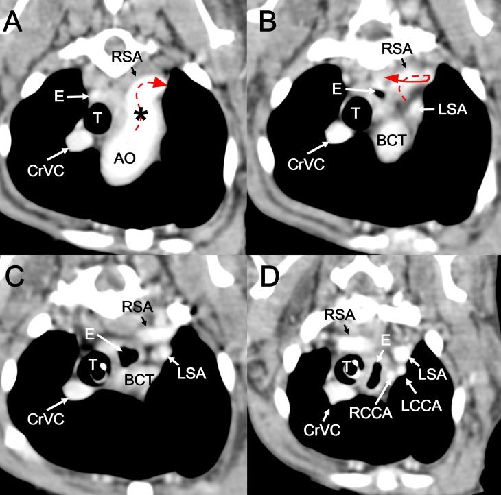 https://cdn.ncbi.nlm.nih.gov/pmc/blobs/383f/5487781/b80cd822bdeb/jvms-79-1052-g002.jpg