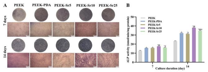 https://cdn.ncbi.nlm.nih.gov/pmc/blobs/3841/11760343/2db1085a5a6a/41598_2025_86561_Fig6_HTML.jpg