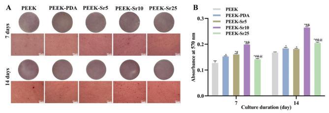 https://cdn.ncbi.nlm.nih.gov/pmc/blobs/3841/11760343/8679d752a695/41598_2025_86561_Fig8_HTML.jpg