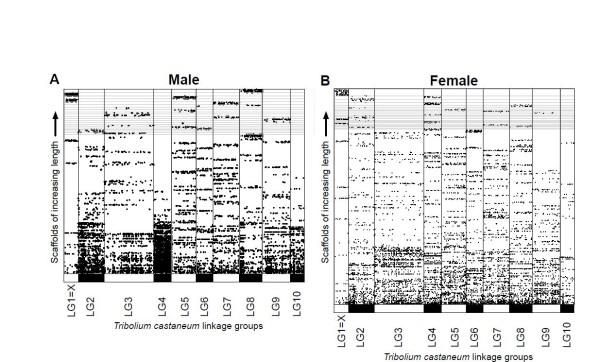https://cdn.ncbi.nlm.nih.gov/pmc/blobs/3841/4053930/5e9fce85cd60/gb-2013-14-3-r27-2.jpg