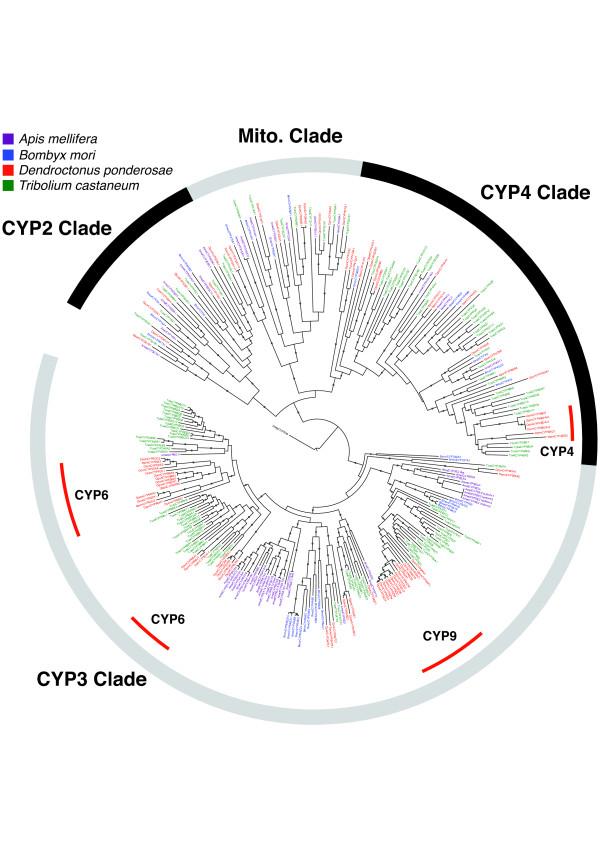 https://cdn.ncbi.nlm.nih.gov/pmc/blobs/3841/4053930/7c9e16dc2651/gb-2013-14-3-r27-7.jpg