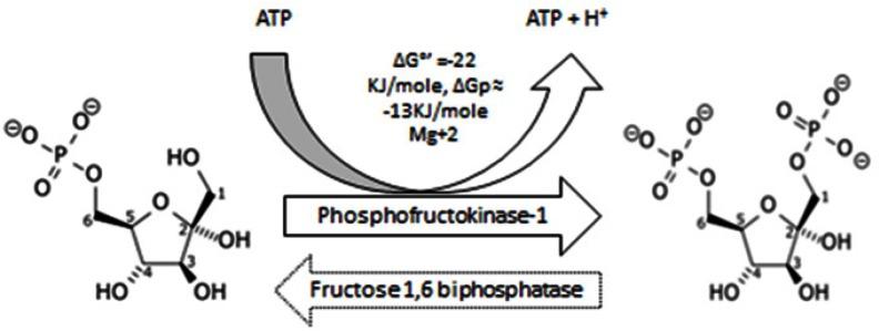 https://cdn.ncbi.nlm.nih.gov/pmc/blobs/3842/4303887/b5214bda5697/oncoscience-01-0777-g003.jpg