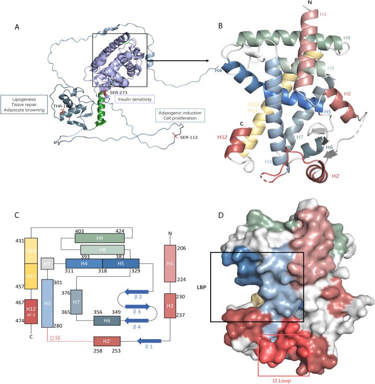 https://cdn.ncbi.nlm.nih.gov/pmc/blobs/3843/12379986/28ded965c415/DDDT-19-7293-g0007.jpg