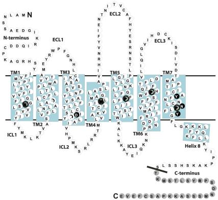 https://cdn.ncbi.nlm.nih.gov/pmc/blobs/3843/2994726/cc06404b5562/pone.0014135.g002.jpg