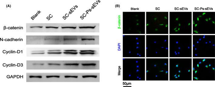 https://cdn.ncbi.nlm.nih.gov/pmc/blobs/3846/9055911/1601c7e607bf/CPR-55-e13196-g002.jpg