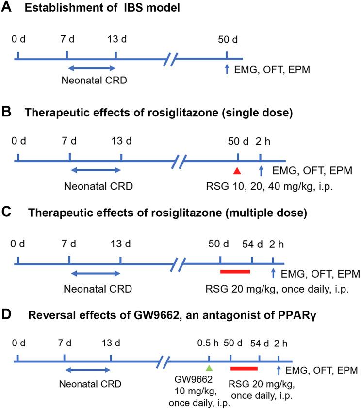 https://cdn.ncbi.nlm.nih.gov/pmc/blobs/3847/11749074/58fb37332414/12876_2025_3618_Fig1_HTML.jpg