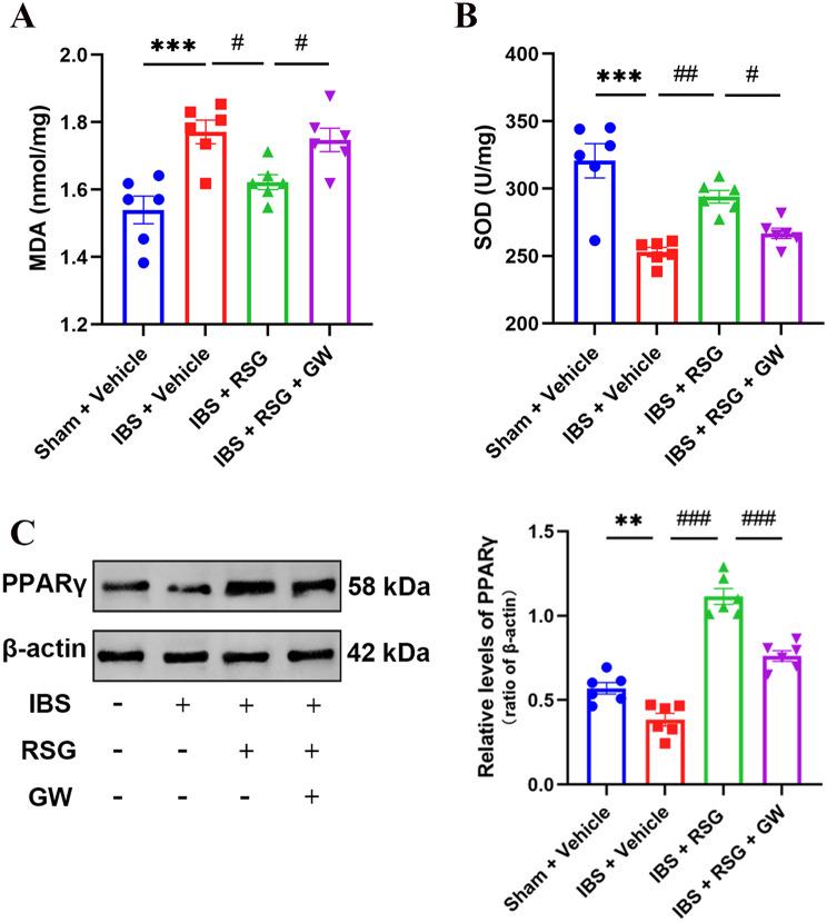 https://cdn.ncbi.nlm.nih.gov/pmc/blobs/3847/11749074/866c187302dd/12876_2025_3618_Fig6_HTML.jpg