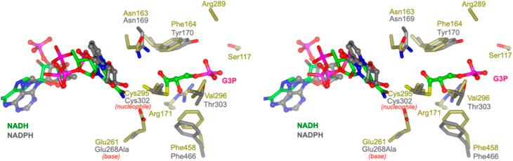 https://cdn.ncbi.nlm.nih.gov/pmc/blobs/3848/10599462/4780697af24d/d3sc01594g-f6.jpg