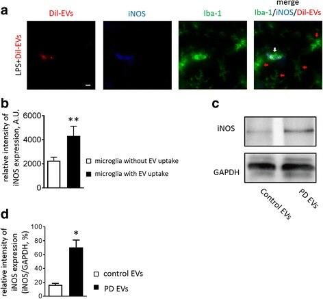 https://cdn.ncbi.nlm.nih.gov/pmc/blobs/3849/5598000/0230a2cde7f6/40478_2017_470_Fig5_HTML.jpg