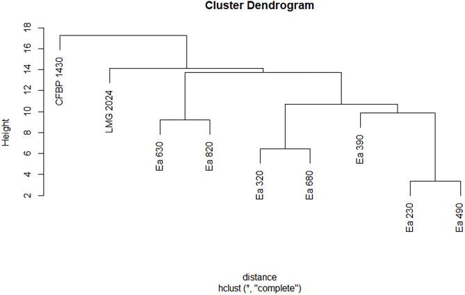 https://cdn.ncbi.nlm.nih.gov/pmc/blobs/3849/9308965/2b9e7400fb5a/peerj-10-13695-g003.jpg