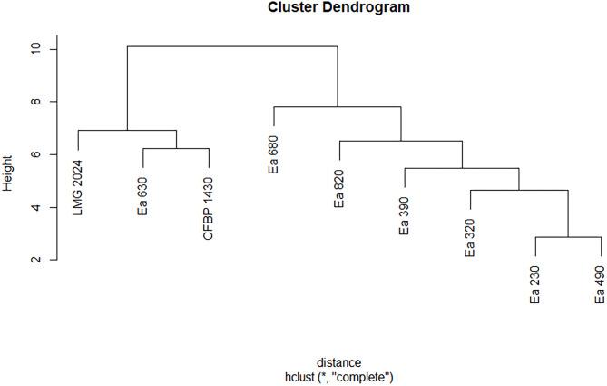 https://cdn.ncbi.nlm.nih.gov/pmc/blobs/3849/9308965/97590277d4b0/peerj-10-13695-g004.jpg