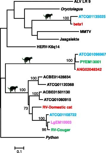 https://cdn.ncbi.nlm.nih.gov/pmc/blobs/384a/4373062/8dc08b664e1c/12977_2015_152_Fig4_HTML.jpg