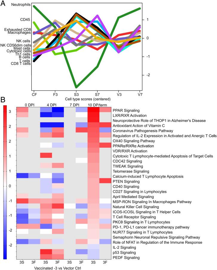 https://cdn.ncbi.nlm.nih.gov/pmc/blobs/384b/8944267/45b8b2319527/pnas.2200065119fig08.jpg