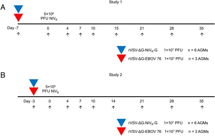 https://cdn.ncbi.nlm.nih.gov/pmc/blobs/384b/8944267/9184626e2059/pnas.2200065119fig01.jpg
