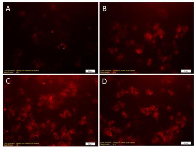 https://cdn.ncbi.nlm.nih.gov/pmc/blobs/384b/9577203/5938cacf8433/Tanaffos-20-353-g003.jpg