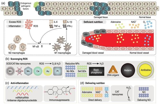 https://cdn.ncbi.nlm.nih.gov/pmc/blobs/384e/11384914/69954e9eff5c/nwae280fig4.jpg