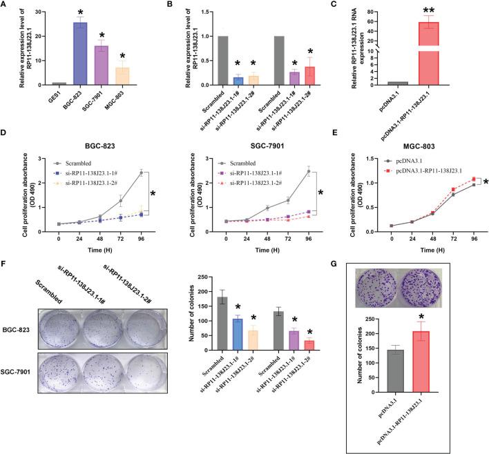 https://cdn.ncbi.nlm.nih.gov/pmc/blobs/384f/8980803/88f4c1675602/fonc-12-848406-g003.jpg