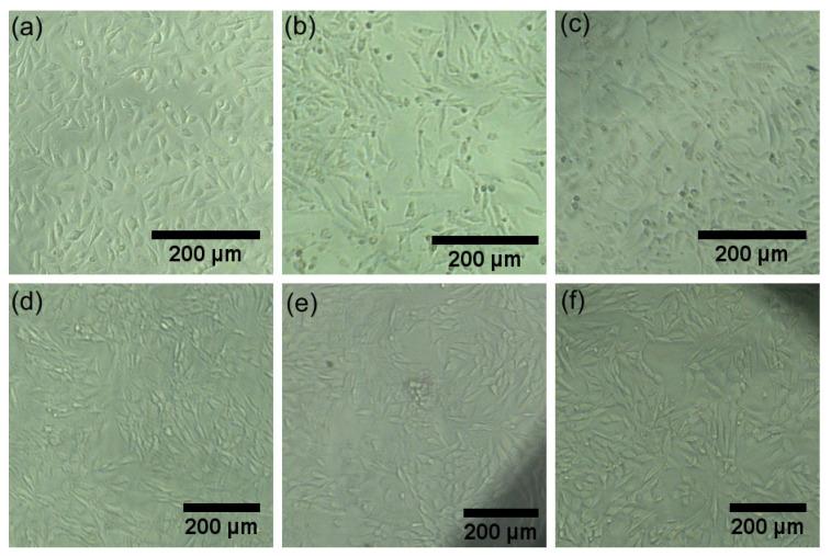 https://cdn.ncbi.nlm.nih.gov/pmc/blobs/3850/11313284/43a7bd24b56c/materials-17-03681-g014.jpg