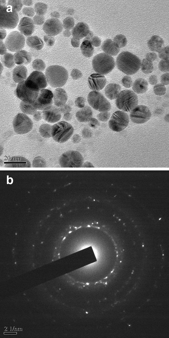 https://cdn.ncbi.nlm.nih.gov/pmc/blobs/3850/4801843/8060339fb03e/13205_2016_407_Fig3_HTML.jpg