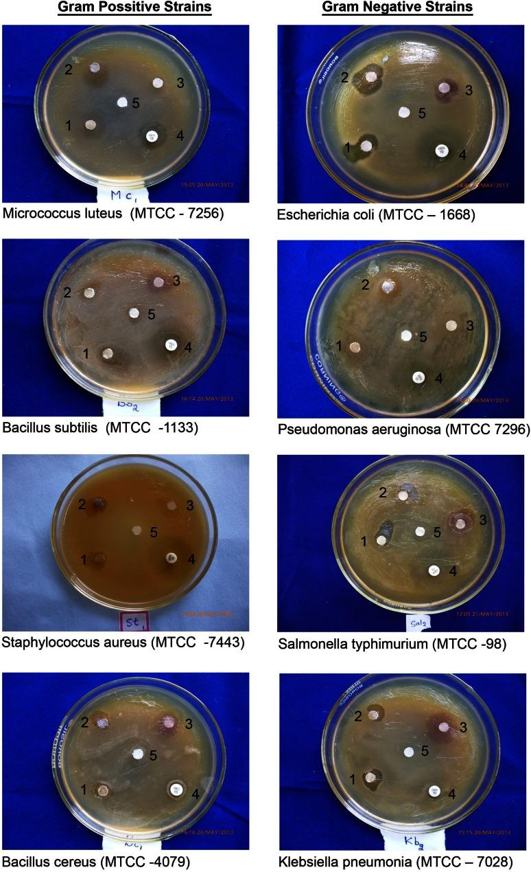https://cdn.ncbi.nlm.nih.gov/pmc/blobs/3850/4801843/f73237f08dbc/13205_2016_407_Fig8_HTML.jpg