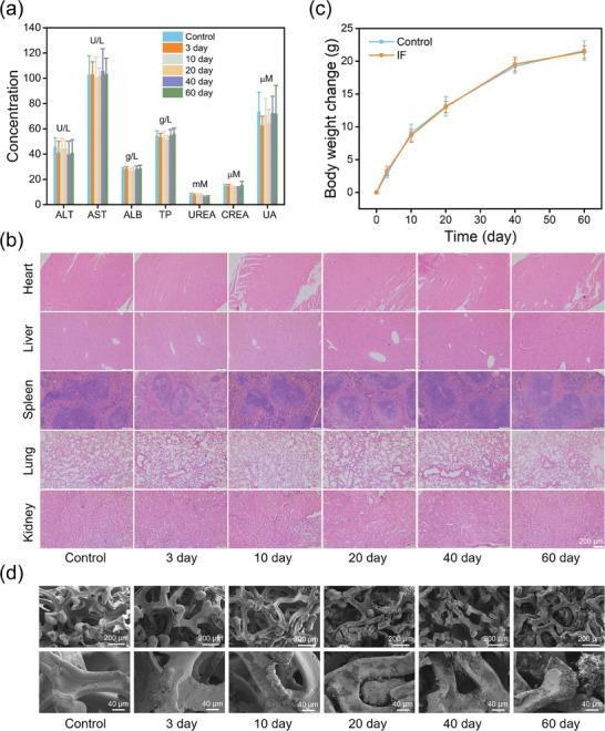 https://cdn.ncbi.nlm.nih.gov/pmc/blobs/3851/10953590/1d55a1bc9722/ADVS-11-2307823-g006.jpg