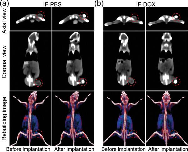 https://cdn.ncbi.nlm.nih.gov/pmc/blobs/3851/10953590/b0df55fb3a27/ADVS-11-2307823-g003.jpg