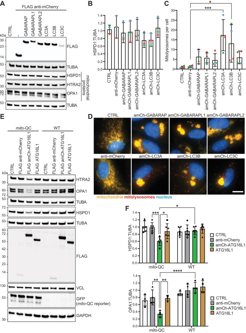 https://cdn.ncbi.nlm.nih.gov/pmc/blobs/3851/11760219/84eca5ebc8c5/KAUP_A_2395149_F0002_C.jpg