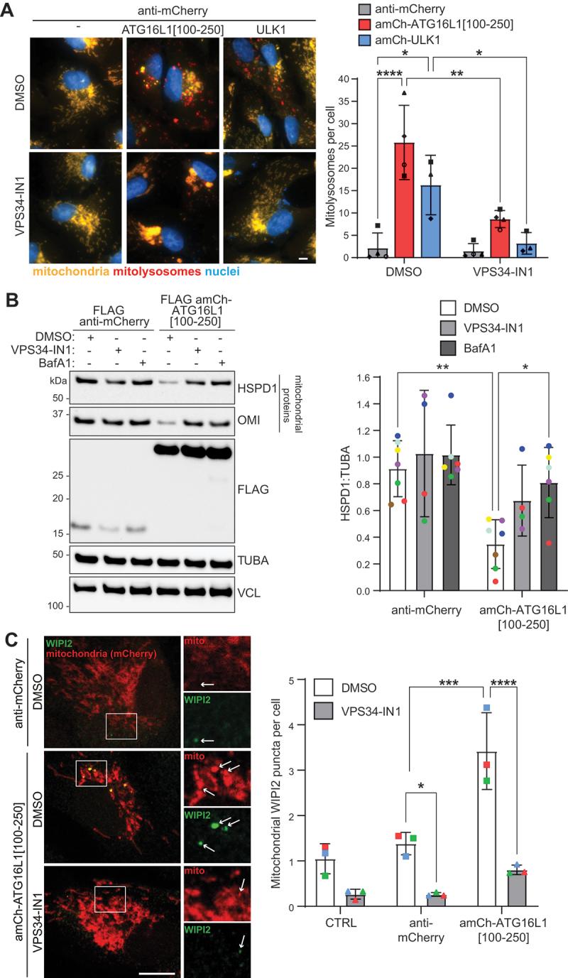 https://cdn.ncbi.nlm.nih.gov/pmc/blobs/3851/11760219/8ace2ed7212a/KAUP_A_2395149_F0005_C.jpg