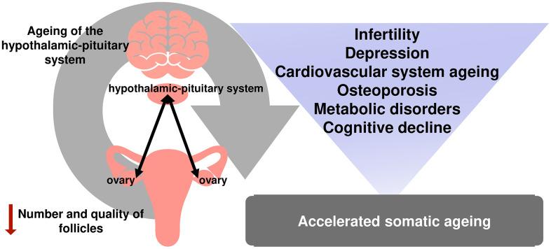 https://cdn.ncbi.nlm.nih.gov/pmc/blobs/3853/8266318/58209238adc3/aging-13-203206-g001.jpg