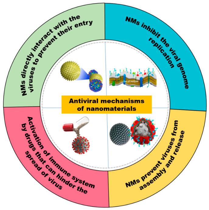 https://cdn.ncbi.nlm.nih.gov/pmc/blobs/3854/10675011/f87ce385d49a/molecules-28-07674-g003.jpg