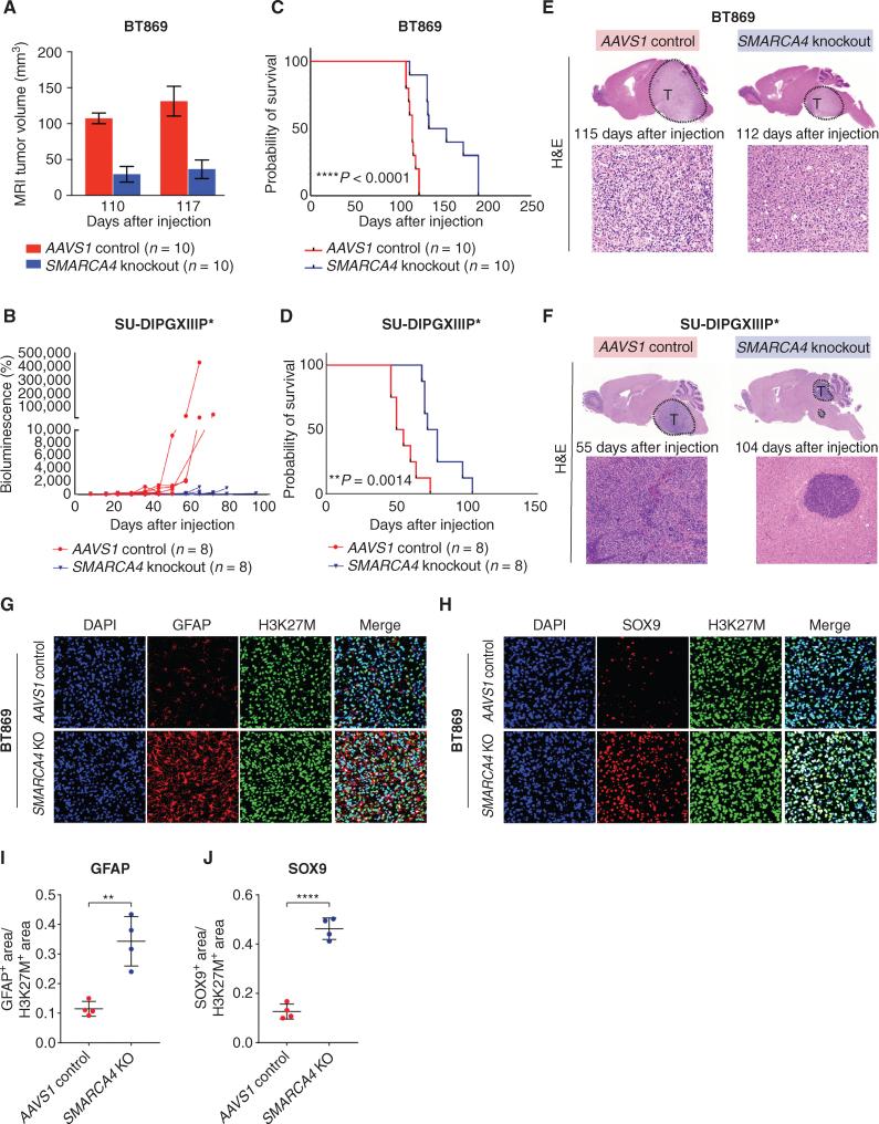 https://cdn.ncbi.nlm.nih.gov/pmc/blobs/3854/9716260/cfaf055fe78a/2880fig4.jpg